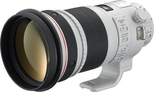 Canon EF 300mm f/2.8 L IS II USM