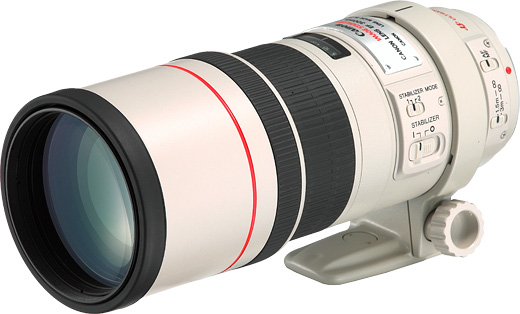 Canon EF 300mm f/4 L IS USM