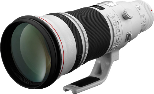 Canon EF 500mm f/4 L IS II USM