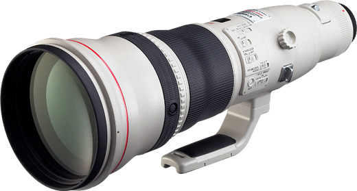 Canon EF 800mm f/5.6 L IS USM