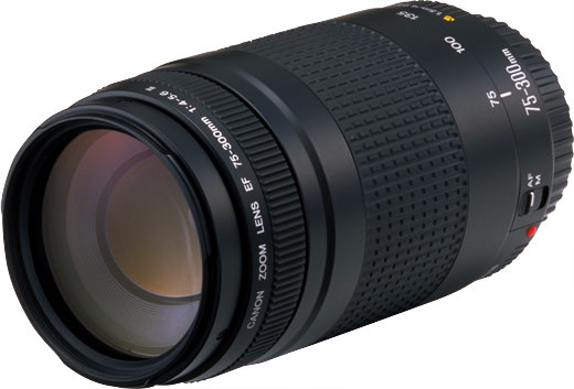 Canon EF 75-300mm f/4-5.6 II