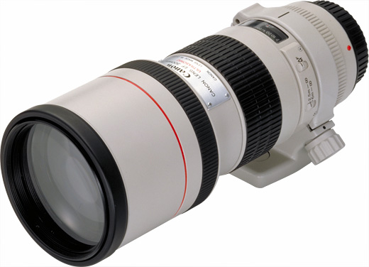 Canon EF 300mm f/4 L USM