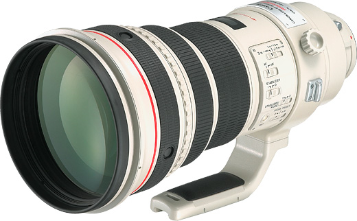 Canon EF 400mm f/2.8 L IS USM